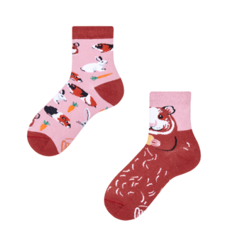 MISS GUINEA PIG KIDS