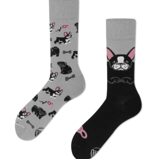 TINY LITTLE DOGS QUARTER